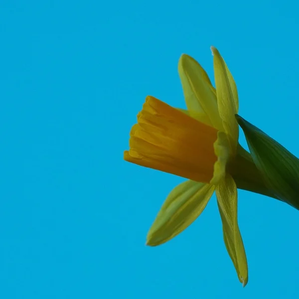 开元棋牌棋牌游戏